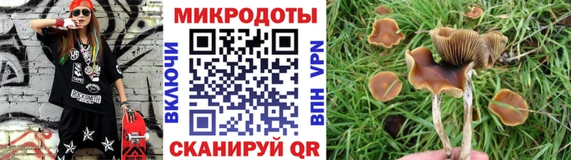 Галлюциногенные грибы ЛСД  магазин  наркотиков  Задонск 